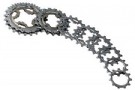 Campagnolo Chorus 10-speed Cassette 