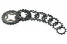 Campagnolo Record 10-speed All Titanium Cassette