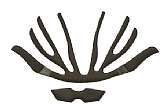 Mavic Ergo Fit Pad Kit