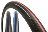 Schwalbe Blizzard Road Tire
