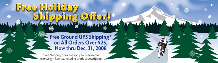 Holiday Shipping Offer