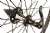 Easton EC90 SL Carbon Clincher Wheelset