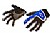 Blue/Black