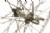Handspun Ultegra 6700/Mavic Open Pro Front Clincher Wheel