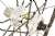 Mavic Crossmax ST Disc 26 Inch Wheelset
