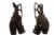 Pearl Izumi Womens Drop Tail Cycling Bib