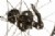 Reynolds MTN C Clincher Wheelset