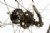 Reynolds MTN C Clincher Wheelset