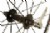 Shimano WH-R501 Clincher Wheelset