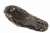 Serfas Saddleback MTB Shoe