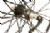 Topolino TrueBlack CTR 2.0 Clincher Wheelset