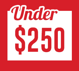 rallye 26 inch descent mountain bike