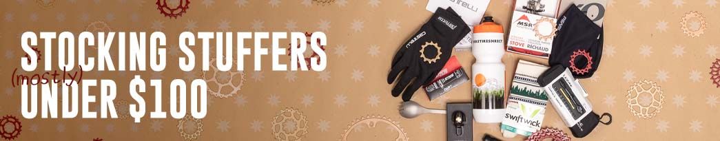 Stocking Stuffers Under $100