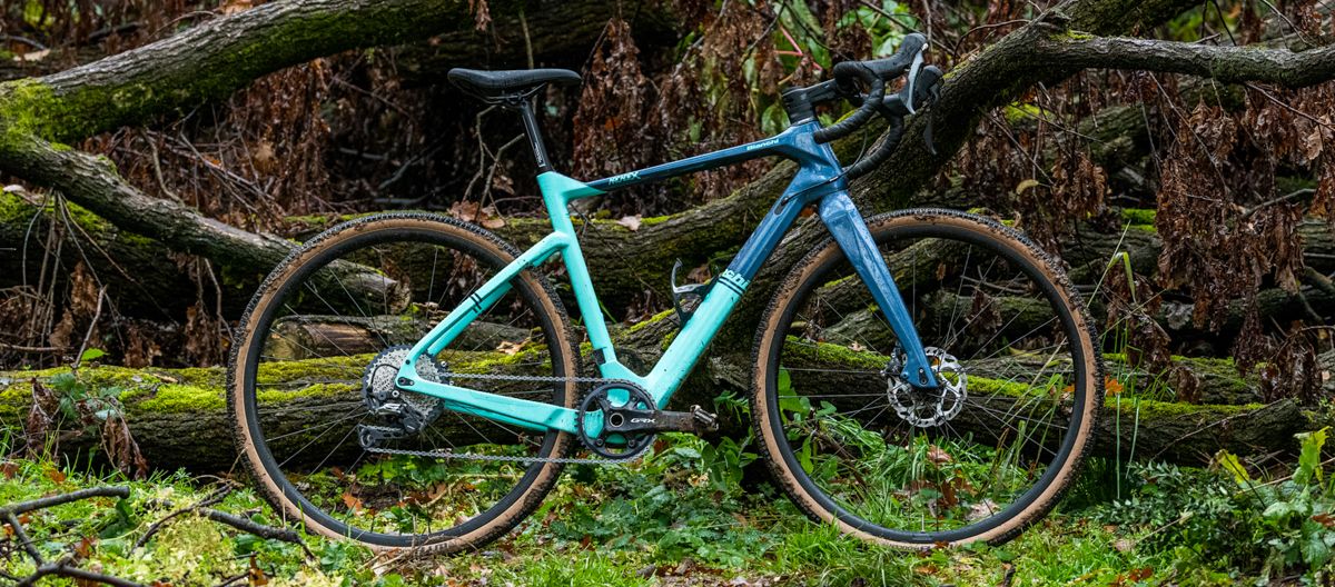 The Bianchi Arcadex propped up against a tree