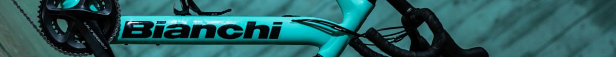 The Bianchi logo on a bicycle downtube