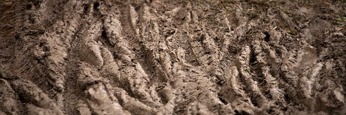 Tire ruts in mud