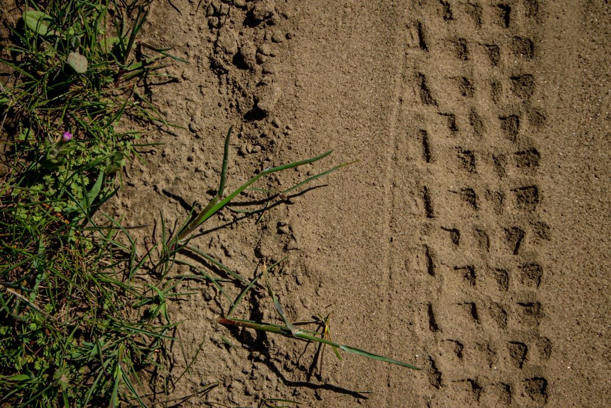 Continental Magnotal tread detail