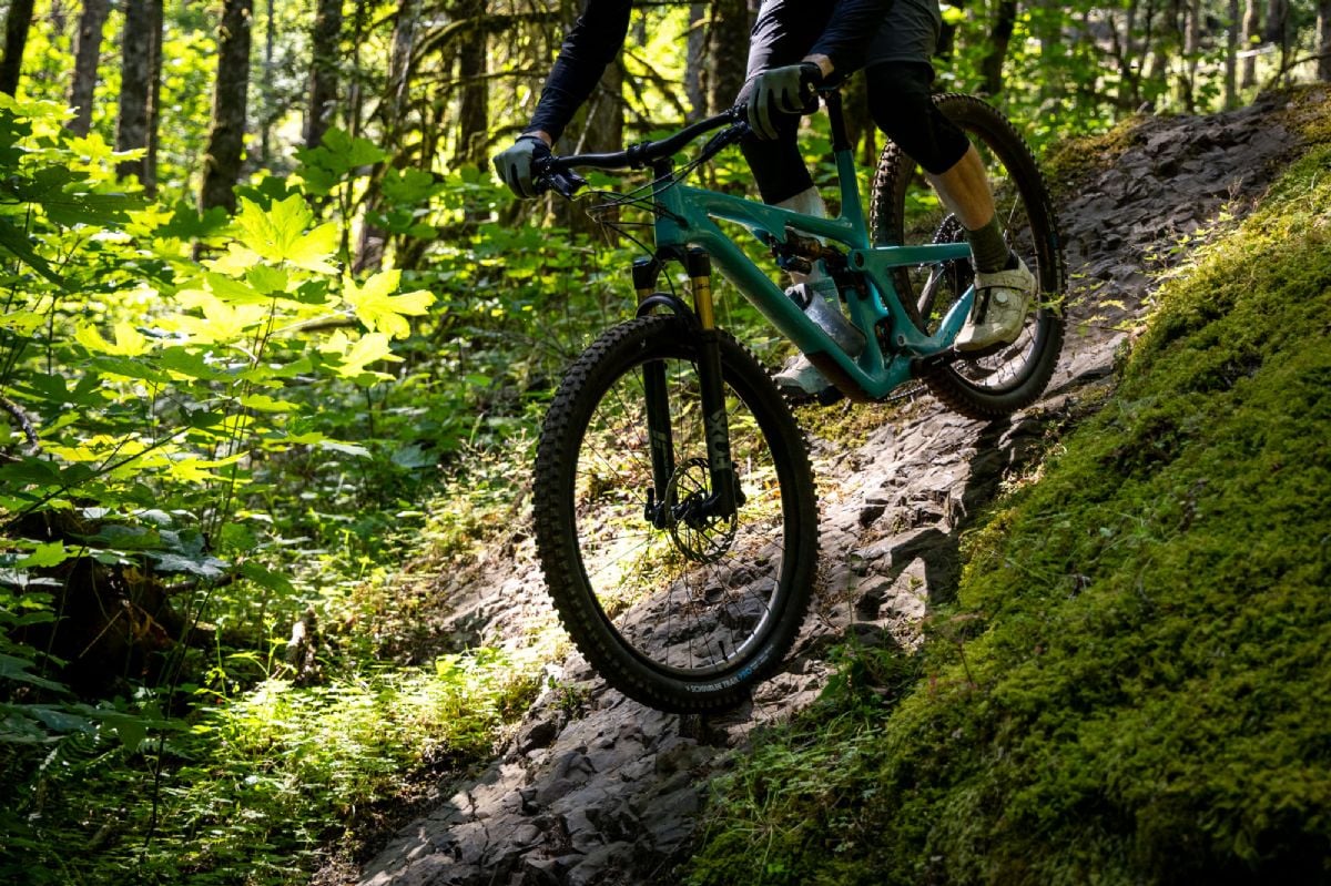 Schwalbe Romy on trail