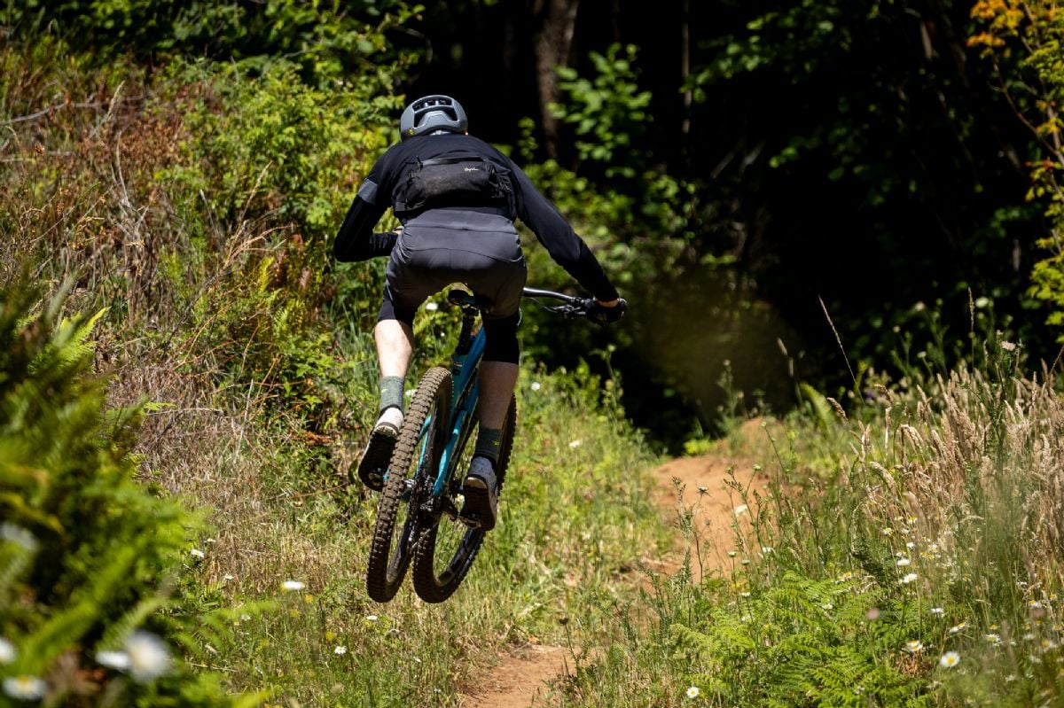 A mountain bike rider catching air on a trail surrounded by wildflowers